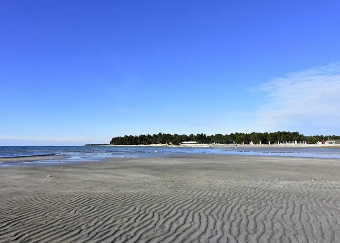 Alex 4 By Interhome *